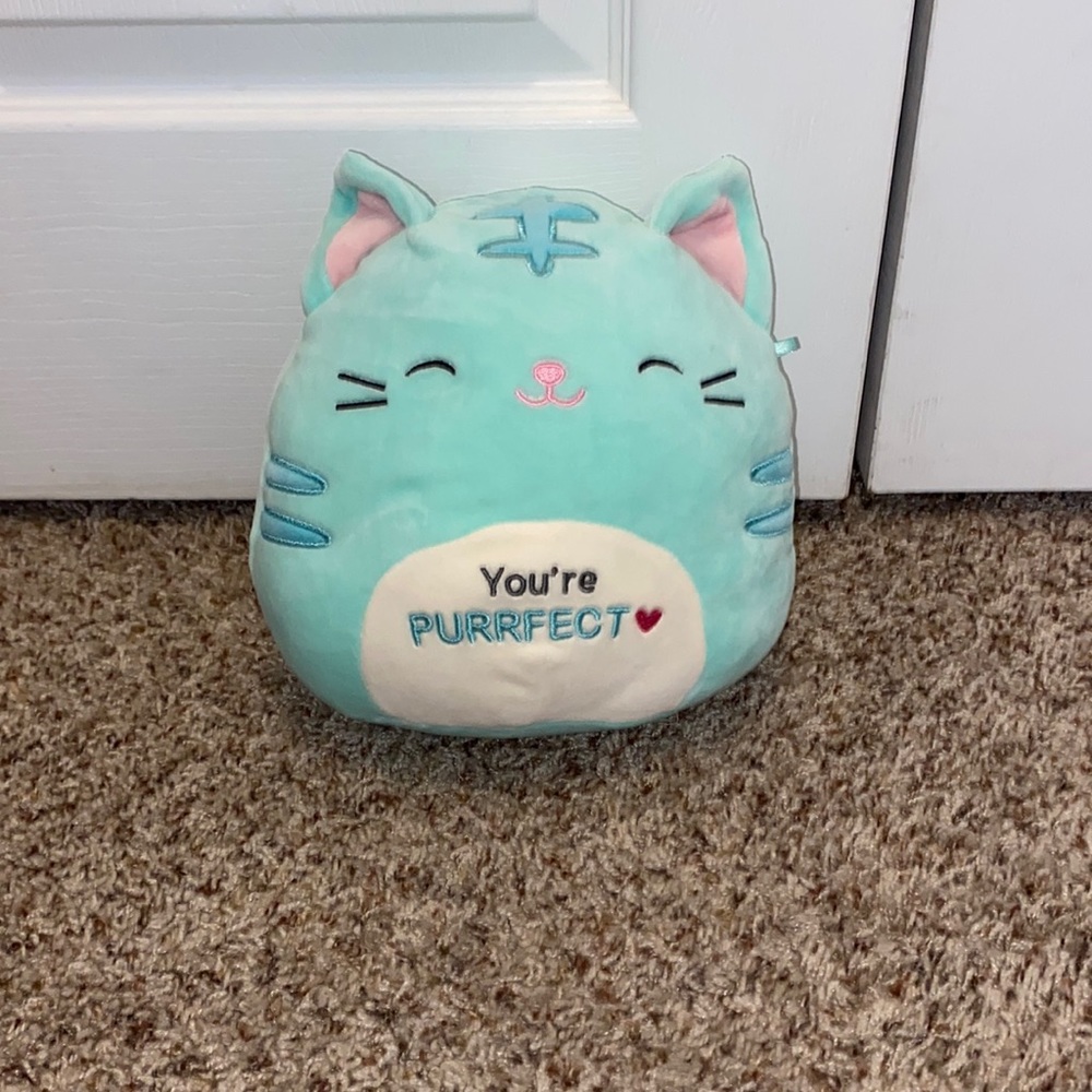 8” cat squishmallow